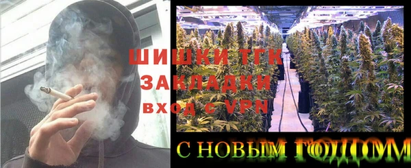 хмурый Инта