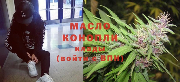 хмурый Инта