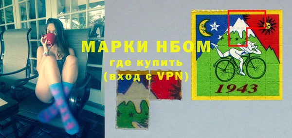 хмурый Инта