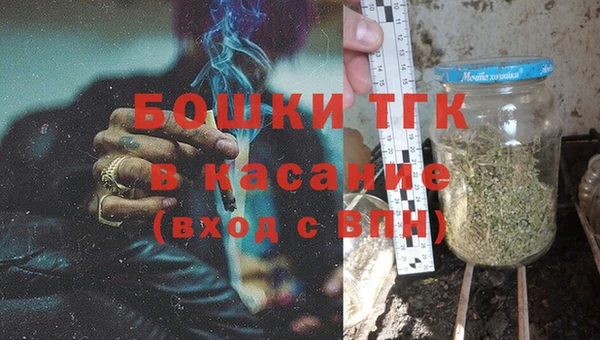 хмурый Инта
