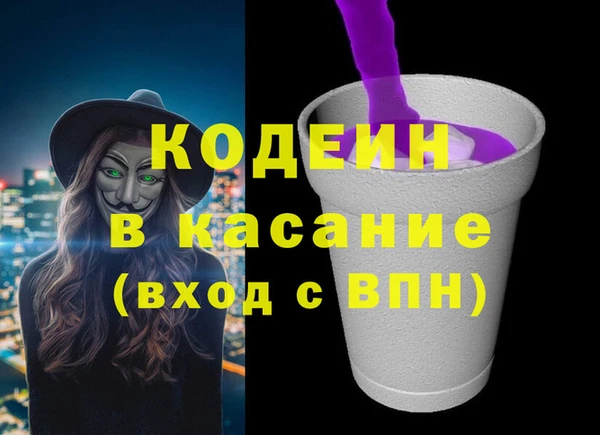хмурый Инта