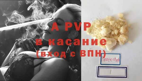 хмурый Инта