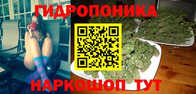 твердый Лесосибирск