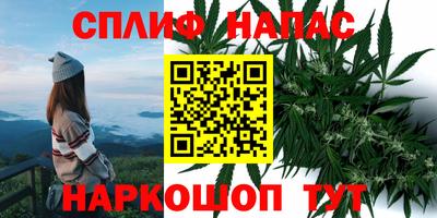 твердый Лесосибирск