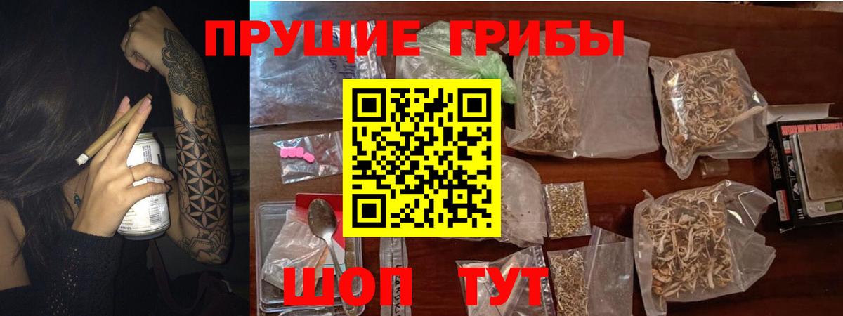 Кизляр  что такое наркотик  Вход с VPN  Псилоцибиновые грибы Magic Shrooms  Галлюциногенные грибы MAGIC MUSHROOMS 